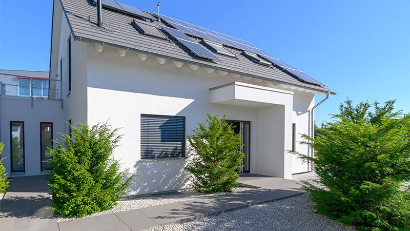 Modernes Einfamilienhaus mit Photovoltaikanlage auf dem Dach, weißer Fassade, großen Fenstern und grüner Bepflanzung im Eingangsbereich.
